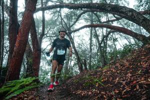 BIB: 
                            <button type="button" onclick="openModal(26343856)" class="btn btn-primary btn-sm float-right btn-popup" data-toggle="modal" data-target=".modal-high-quality">
                        <i class="fas fa-shopping-cart"></i> Add to Cart
                    </button>
                                            <button type="button" onclick="isThisMe(26343856, true)" class="btn btn-success btn-sm float-right btn-popup btn-isme hidden" data-toggle="tooltip" data-placement="bottom" title="นี่คือรูปของคุณใช่ไหม คลิกที่นี่เพื่อเอาเข้าอัลบั้ม">
                        <i class="fas fa-plus"></i> Add to album
                    </button>
                    <button type="button" onclick="isThisMe(26343856, false)" class="btn btn-warning btn-sm float-right btn-popup btn-isnotme hidden">
                        <i class="fas fa-ban"></i> Remove from album
                    </button>